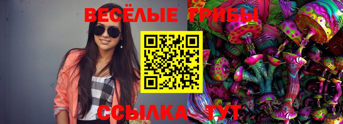 Галлюциногенные грибы Psilocybine cubensis  Вход с VPN  Лыткарино 